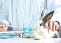 Speech on Animal Testing
