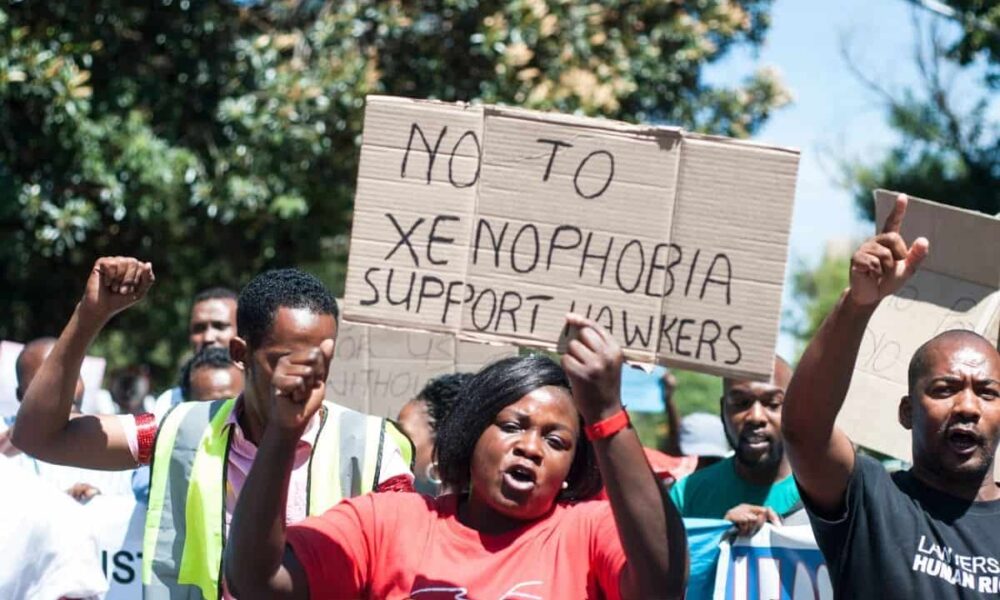 essay xenophobia