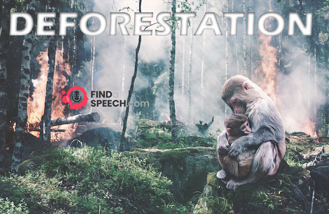 Deforestation Speech