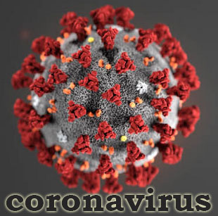 Speech on Caronavirus