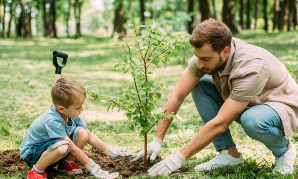 a-short-speech-on-importance-of-planting-trees