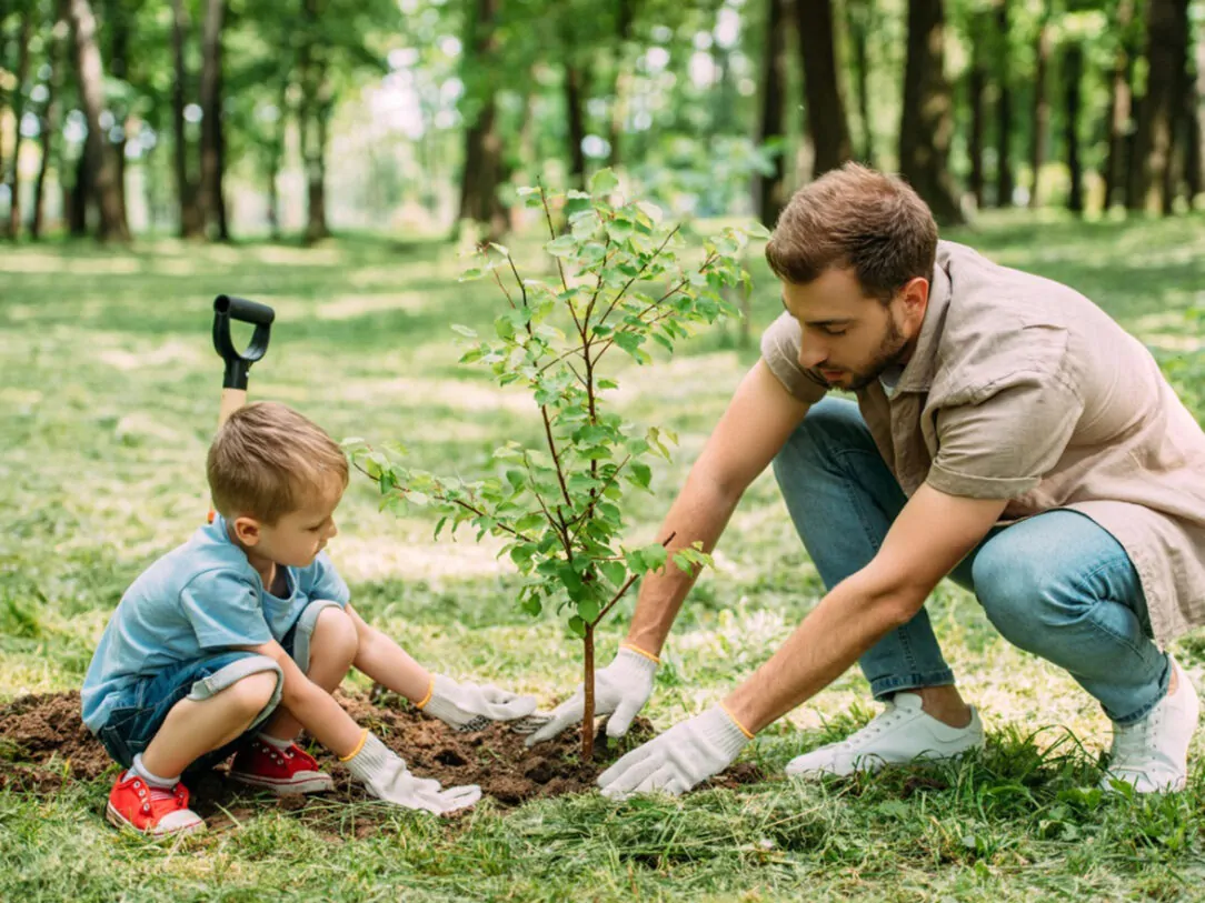 importance of planting trees