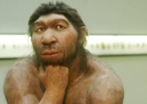 Speech on Neanderthals