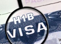 What Are the Requirements For The H1B Employment Visa – 2024 Guide