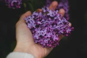 Can Flowers Listen and Sense Feelings! Truth or Myth