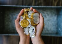 7 Tips for Understanding the Cryptocurrency Market Basics