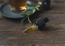 5 Reasons To Take CBD Oil If You Suffer From Chronic Pain Conditions – 2024 Guide