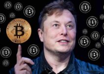 Could Elon Musk Be the Creator of Bitcoin?