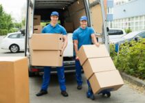 How Moving Companies Have Changed the Way We Move?