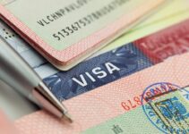 5 Tips for Understanding the TN Visa Application Process