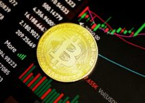 How is the Bitcoin Price Determined – 2024 Guide