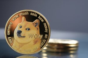 What Is Dogecoin And How Does It Work?