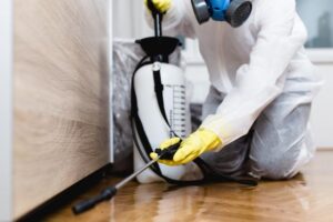 Benefits of Getting in Touch With a Professional Pest Control Services