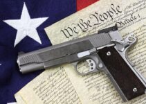 Top 10 Guns for Hobbyists in the USA – Reviews and Maintenance