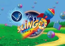 What Has Made Slingo Bingo Grow? – 2023 Guide