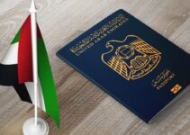 How to Check Your Dubai Visa Status Online ─ A Guide for Indian Citizens